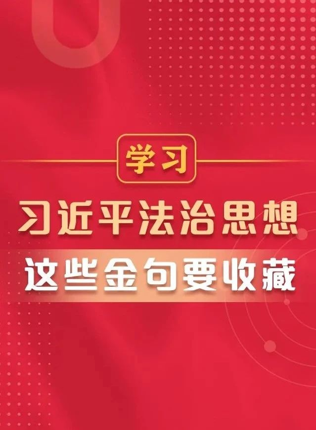 学习习近平法治思想，这些金句要收藏